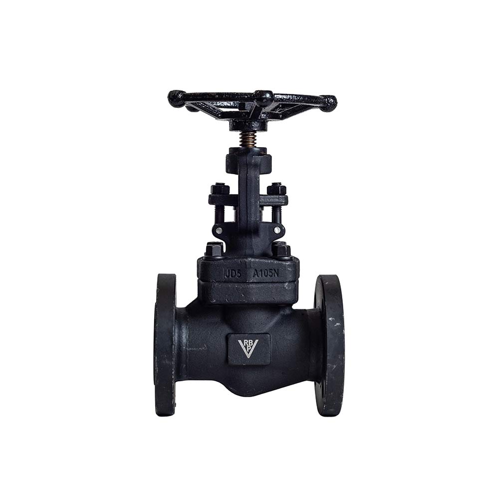 Válvula globo. A105. S150/S300 - Imagen 3