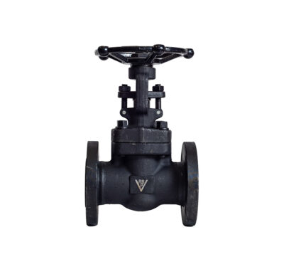 Válvula esclusa. A105. S150/S300