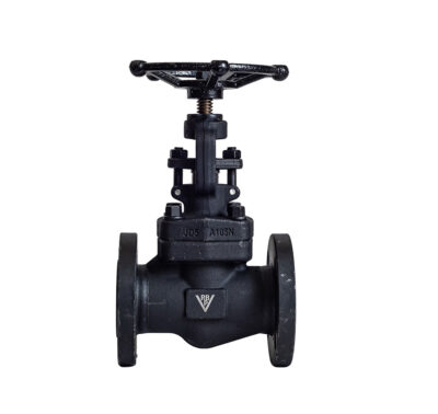 Válvula globo. A105. S150/S300