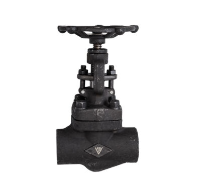 Válvula Globo ASTM A105 S800